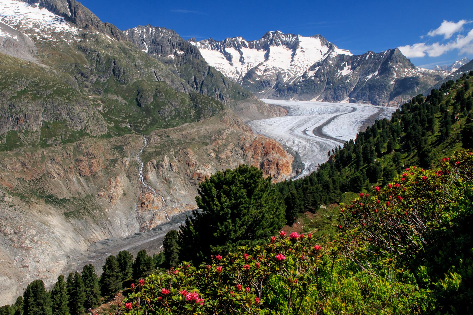 Aletschgletscher