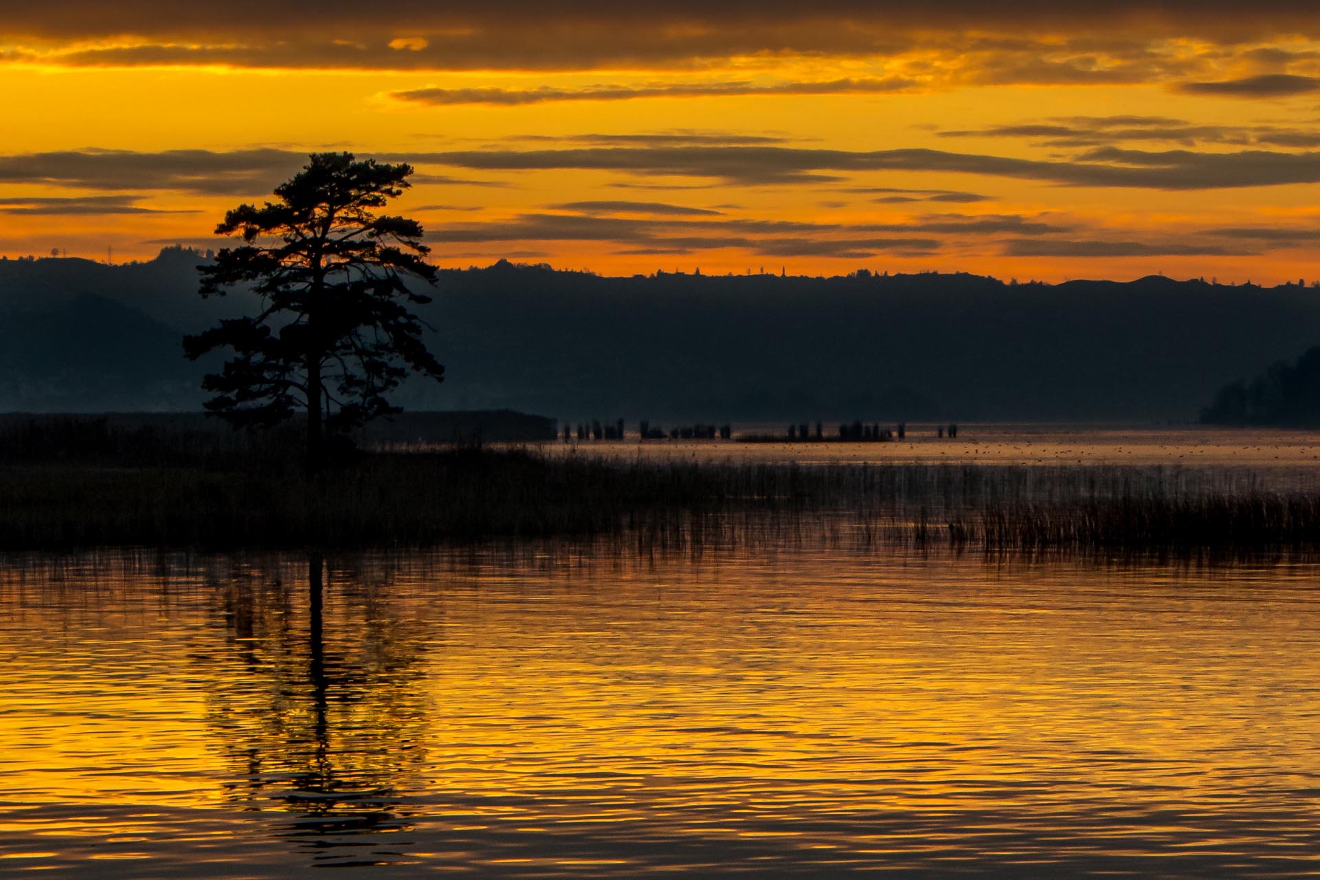 Abendstimmung am Zürichsee