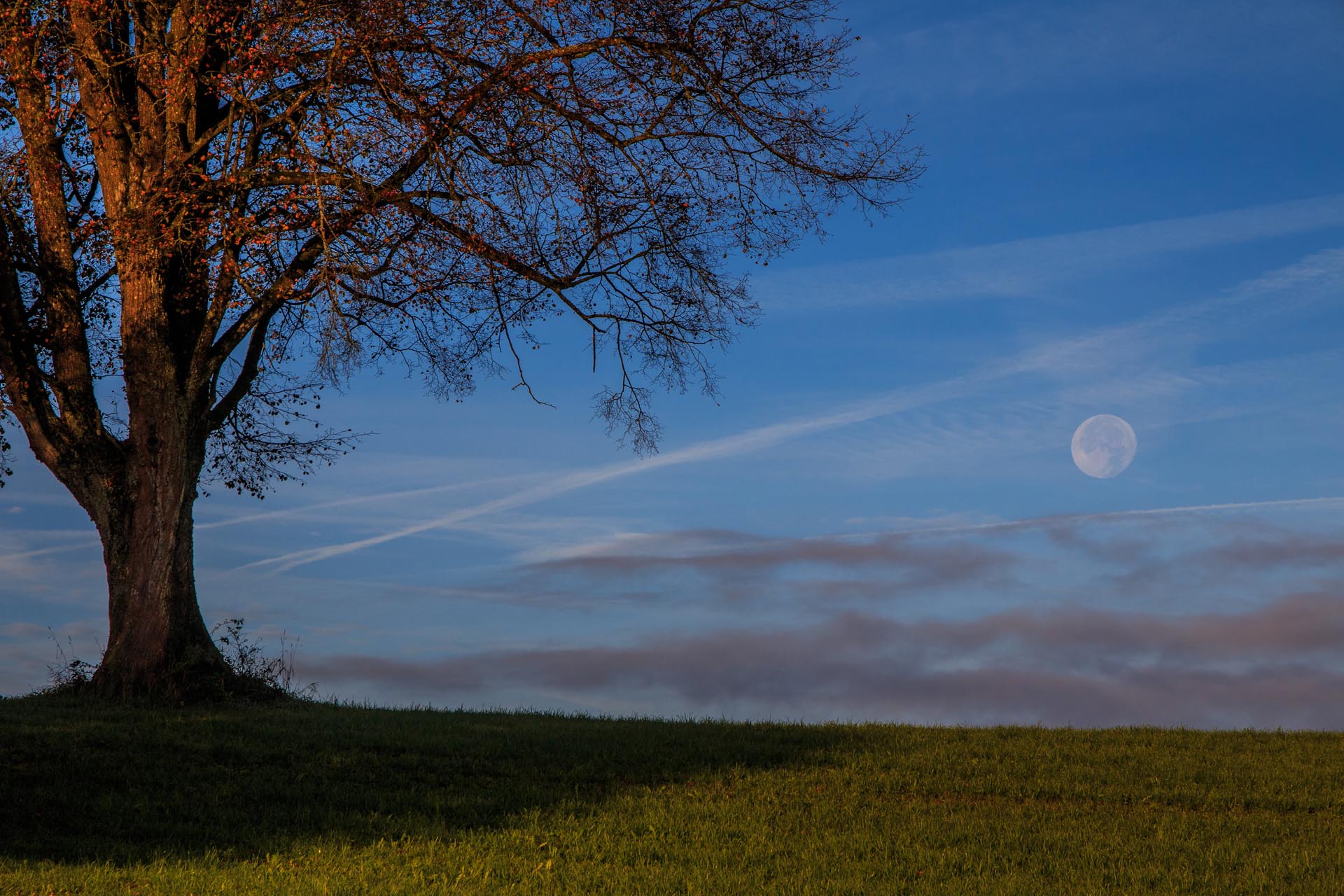 Der Mond geht unter - die Sonne erscheint