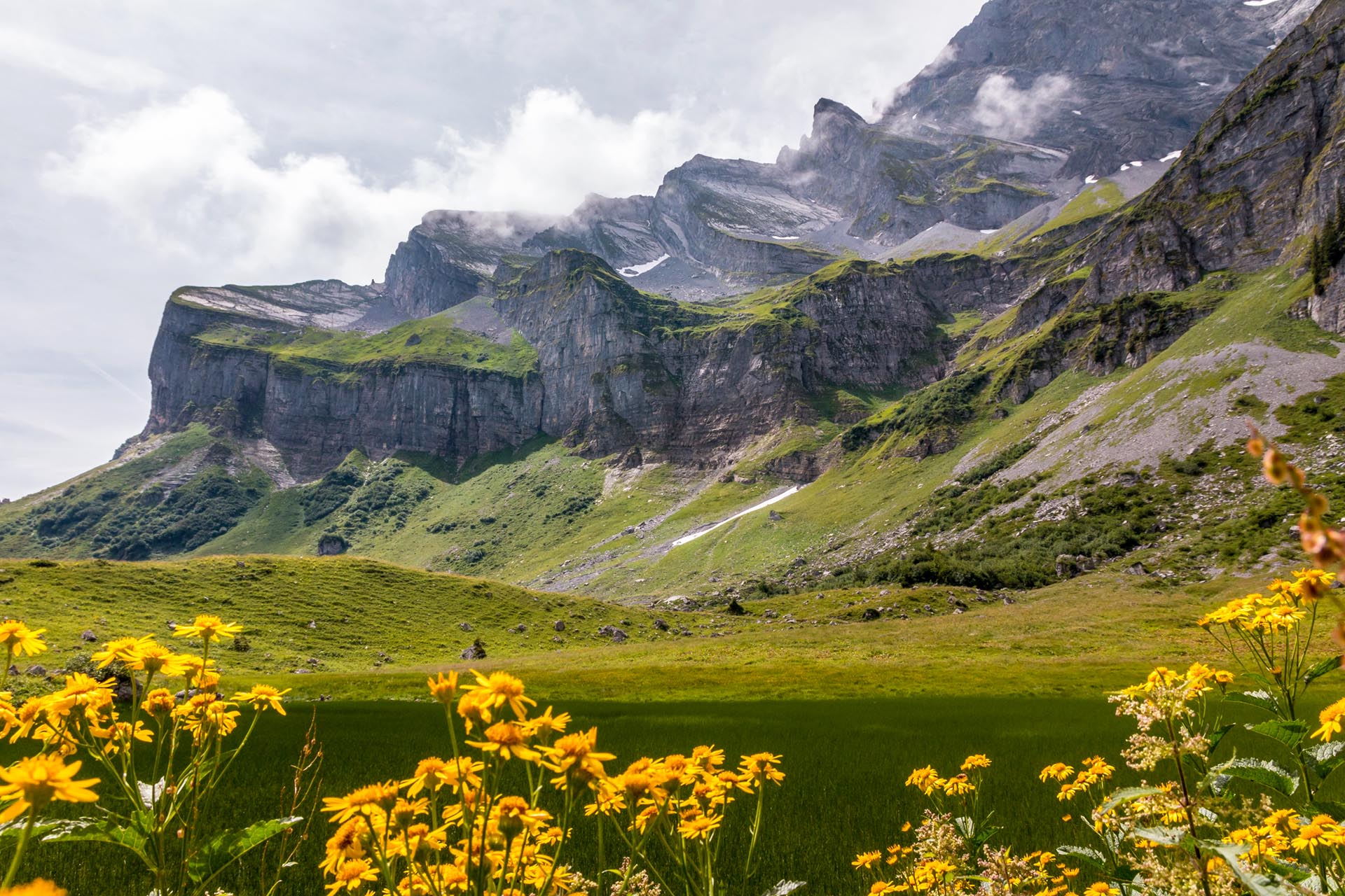 Braunwald