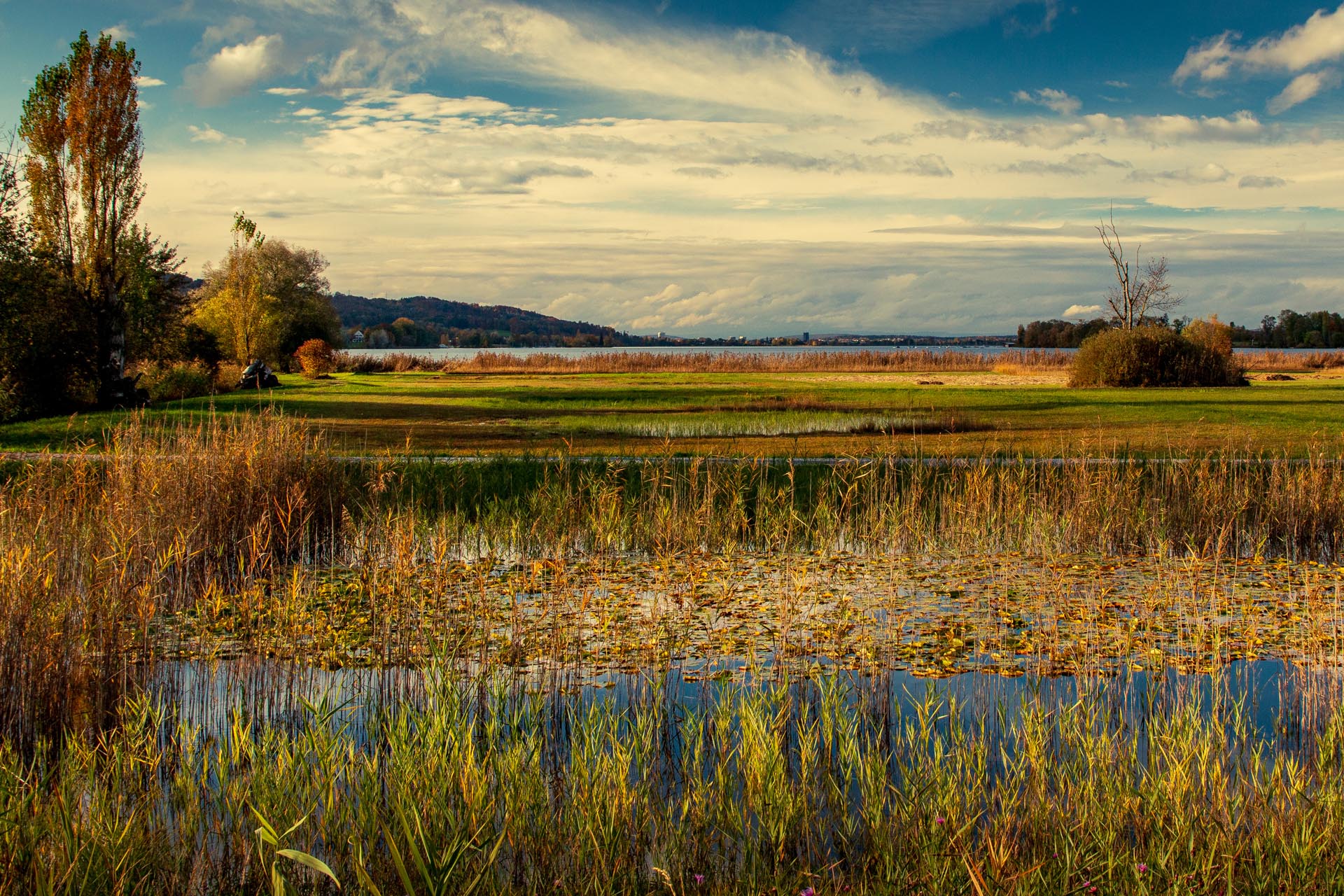 Prächtige Farben am See