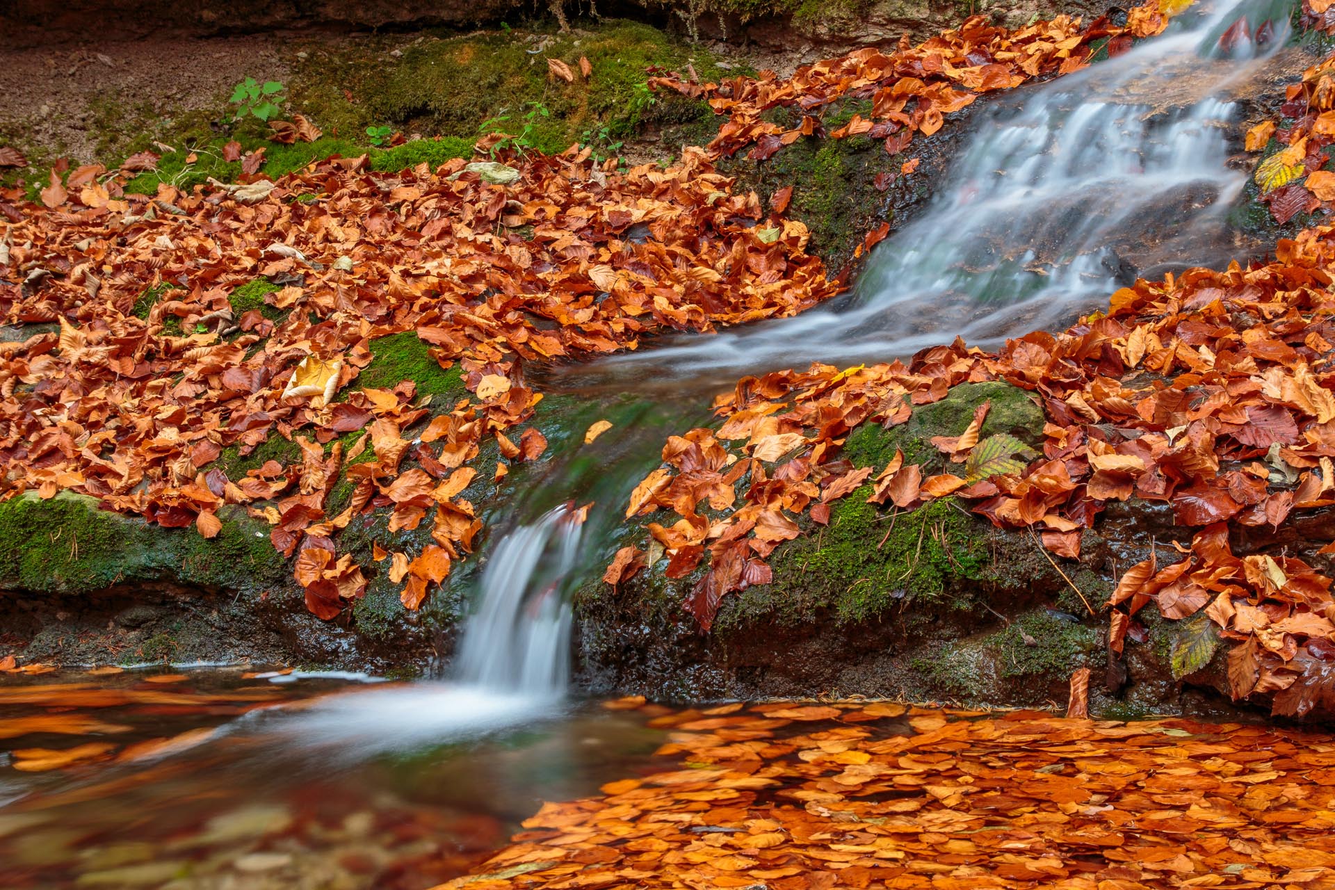 Herbstbach