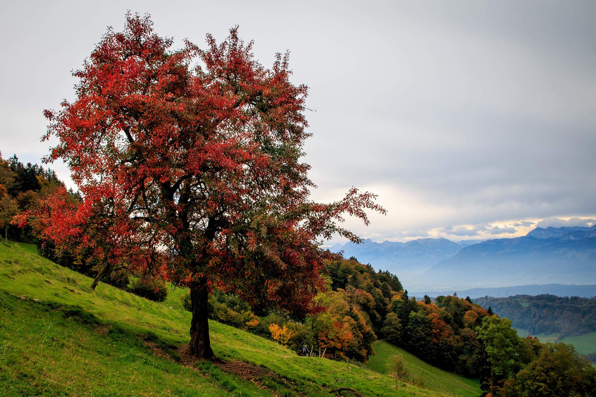 Schöne Aussicht