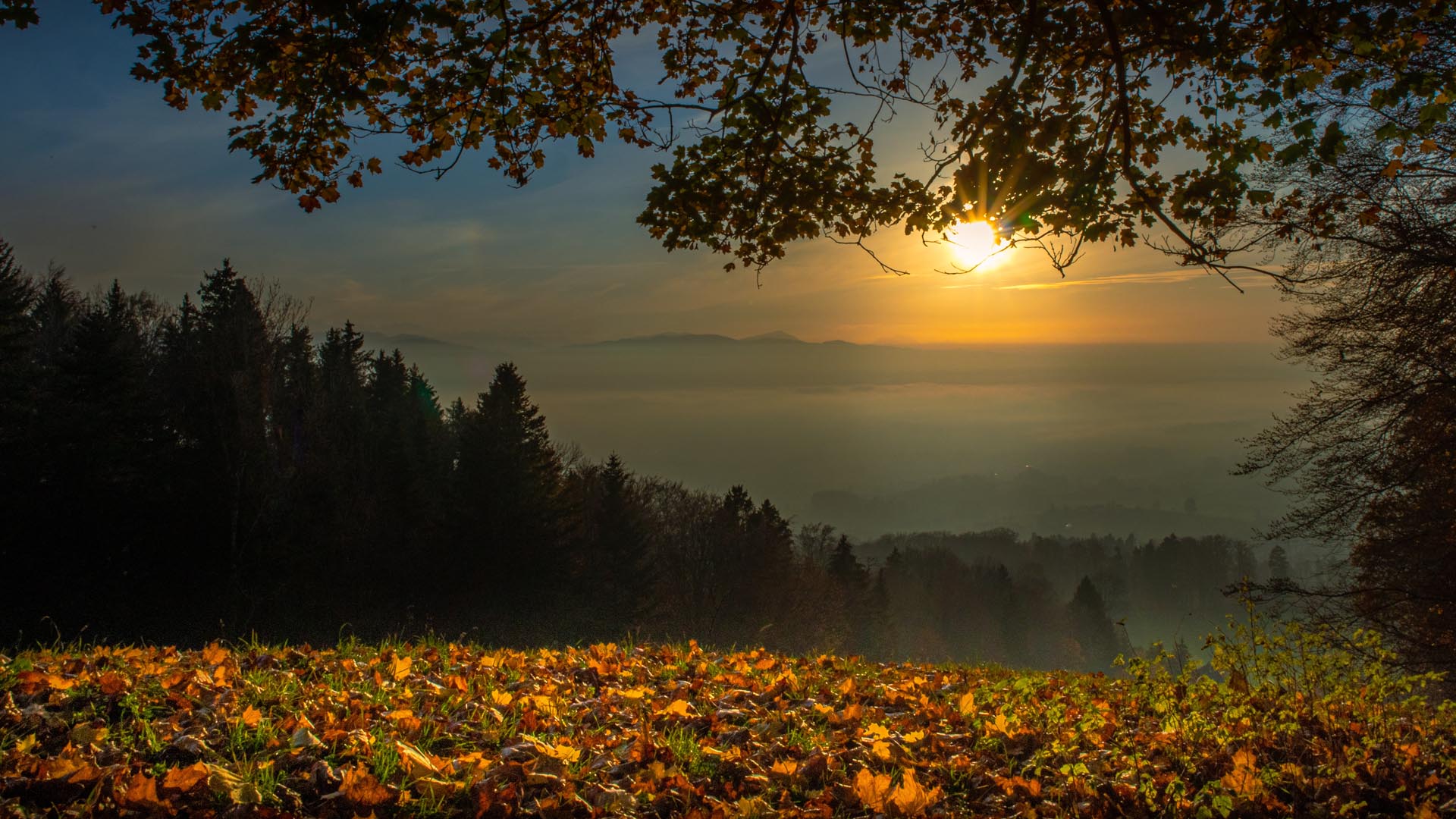 Herbstlicher Sonnenuntergang
